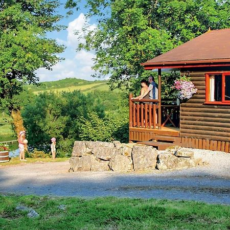 Garnffrwd Park Hotel Llanddarog Bagian luar foto