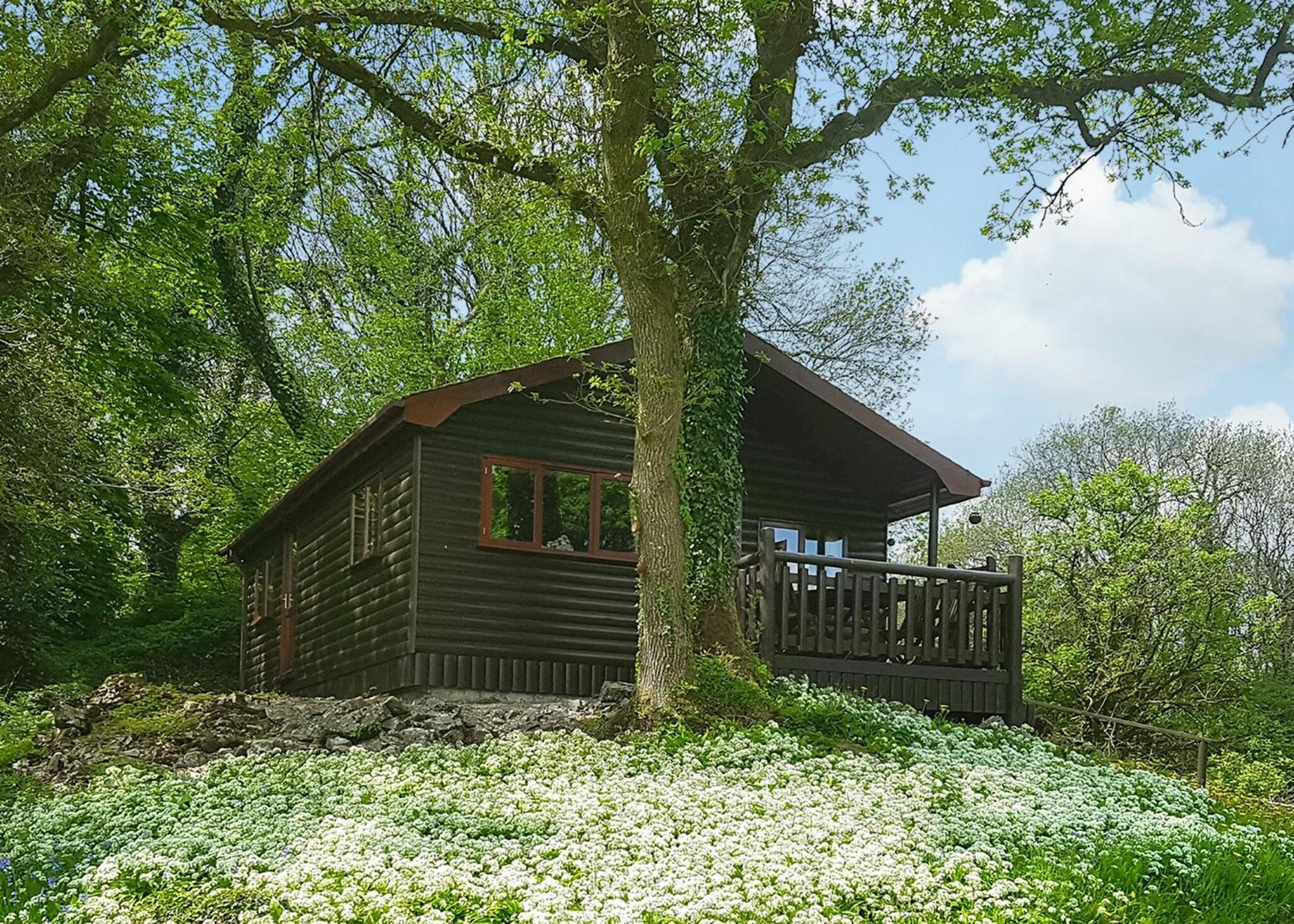 Garnffrwd Park Hotel Llanddarog Ruang foto