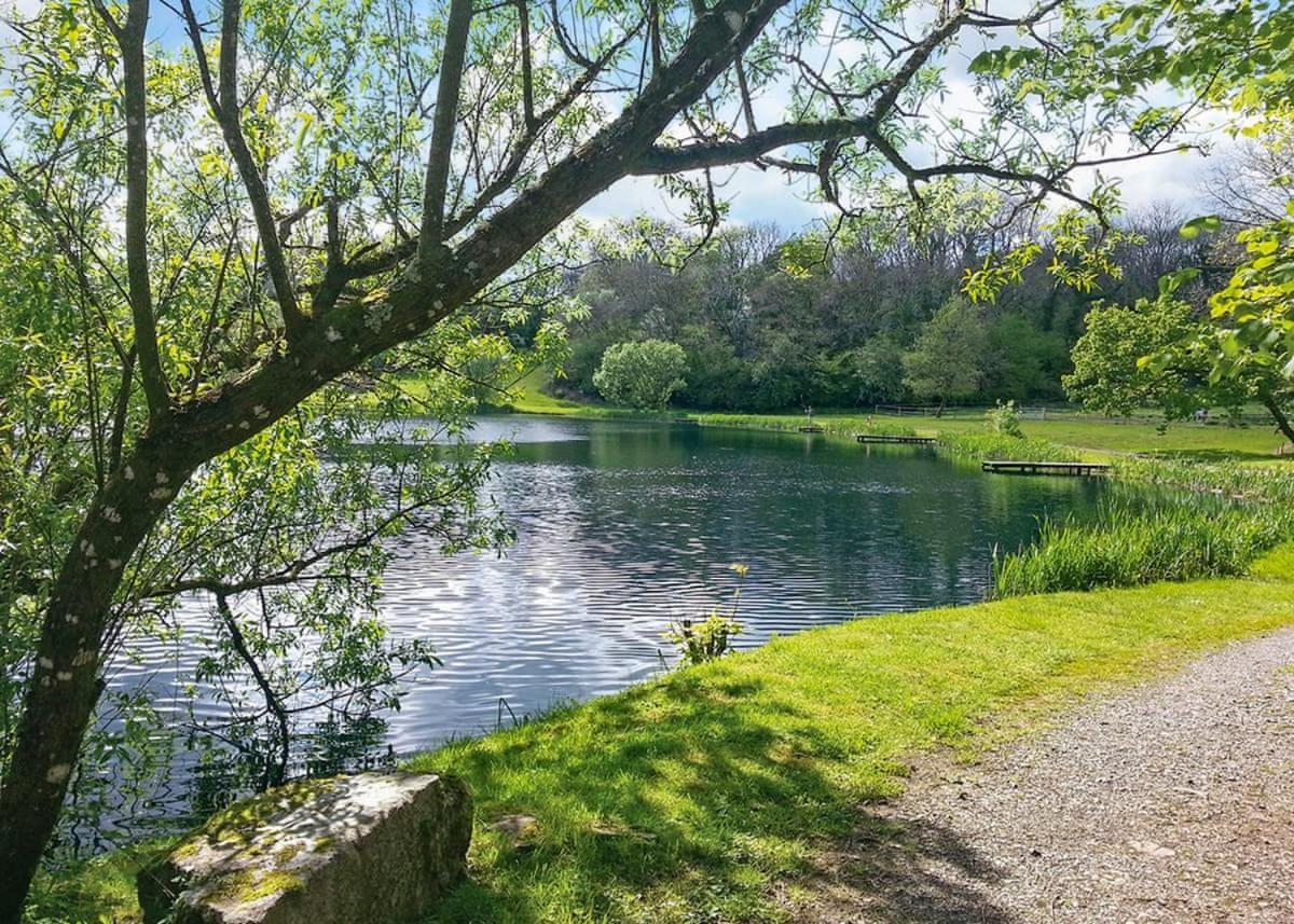 Garnffrwd Park Hotel Llanddarog Bagian luar foto